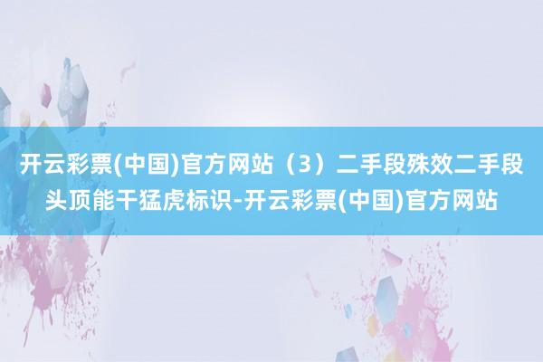 开云彩票(中国)官方网站（3）二手段殊效二手段头顶能干猛虎标识-开云彩票(中国)官方网站