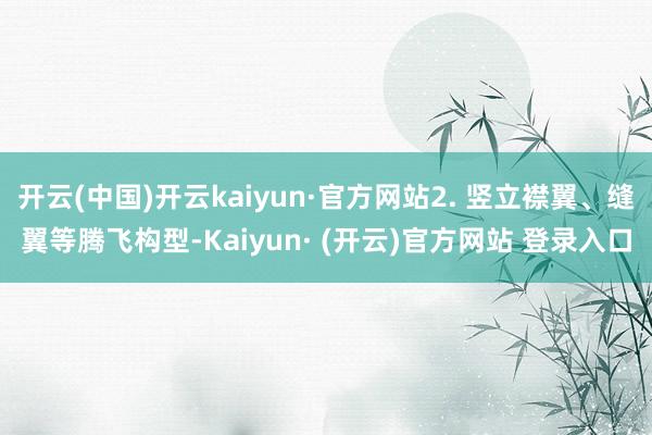 开云(中国)开云kaiyun·官方网站2. 竖立襟翼、缝翼等腾飞构型-Kaiyun· (开云)官方网站 登录入口